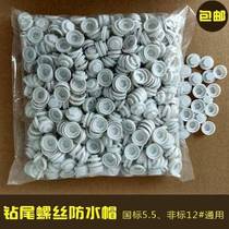 2018 new rust wire waterproof cover outer hexagonal swallow drill tail screw resin cap tail tile nail plastic self