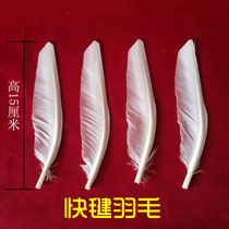 White pigeon shuttlecock big white shuttlecock feathers fast shuttlecock slow shuttlecock hair shuttlecock handmade