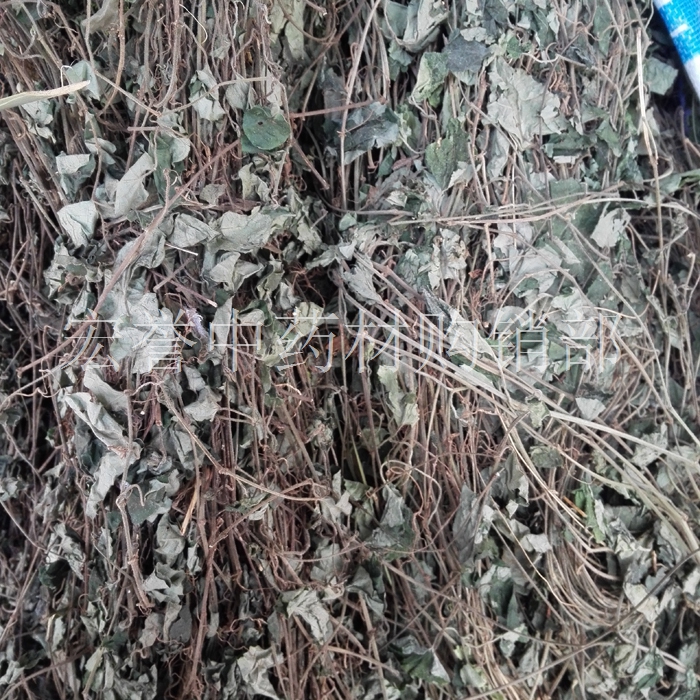 Eighteen wind vines Chinese herbal medicines