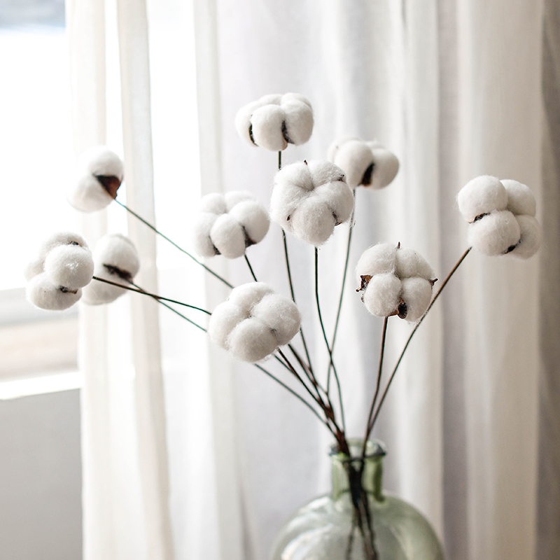 Cotton dry flower bouquet colorful single natural living flower home furnished wedding decoration shoot wood cotton
