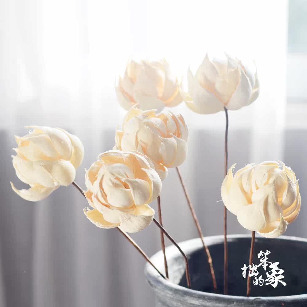 风荷天然艺术干花插花创意家居装饰禅意木莲花仿真荷花白莲花 风荷天然艺术干花插花创意家居装饰禅意木莲花仿真荷花白莲花