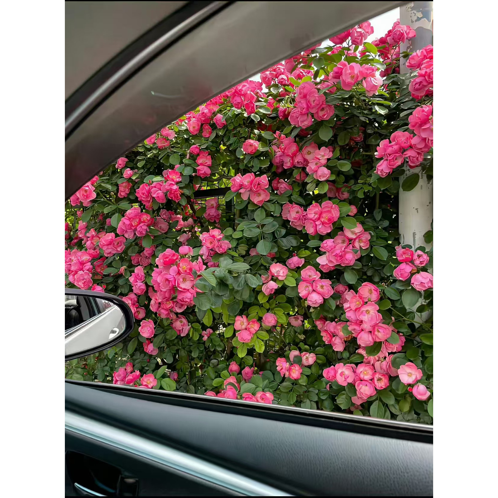 纺织品的小店