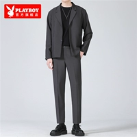 Весна и осень K9 костюм+т -манать+брюки серые