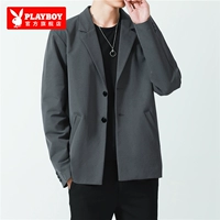 Весна и осень K9 темно -серый