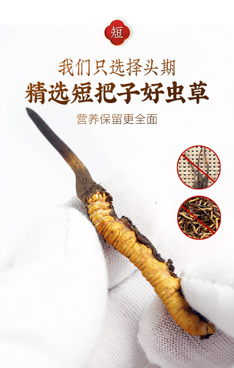 Например, Cordyceces 2_09.jpg