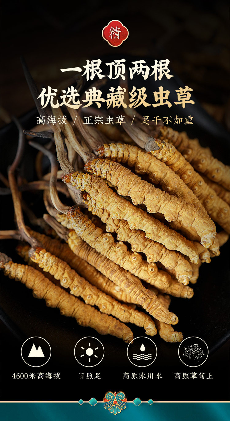 Например, cordyceces 2_07.jpg