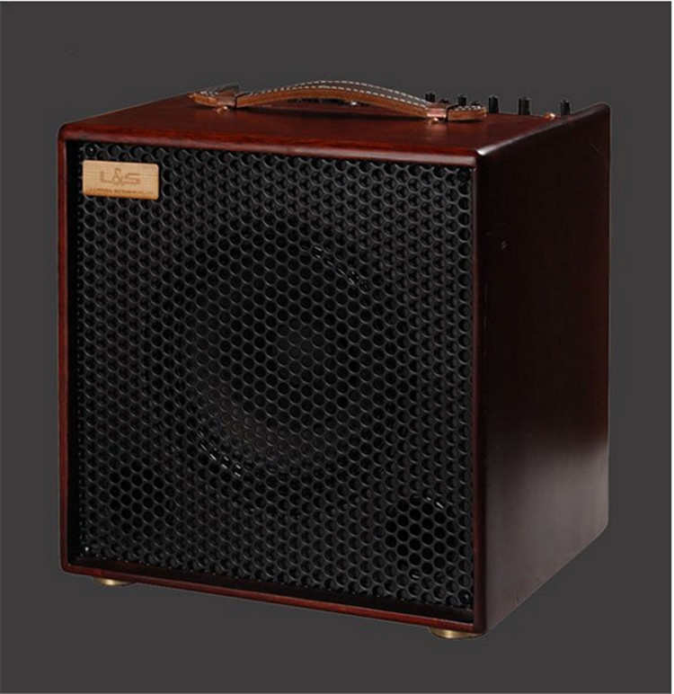 LSM Livocal FreeMan100 II Wood Guitar Speaker Ballad Guitar Speaker Sound Finger Sound 