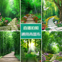 Direct sowing room decoration background cloth atmosphere male and female anchor background wall 3d net red live bamboo forest stereo high-definition picture