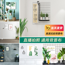 Live 3d Background Cloth Anchor Fast Hand Photoshoot Video Shake Soundnet Red Ins direct interplay Decorative Photography Background Wall