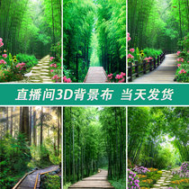 Direct sowing room decoration background cloth atmosphere male and female anchor background wall 3d net red live scenery stereoscopic high definition picture