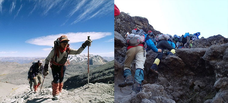Trekking cực ngoài trời siêu nhẹ đi bộ đi bộ gậy ông già chống nạng loại T xử lý thẳng carbon bốn phần kính thiên văn chính hãng gậy dò đường cho người mù	