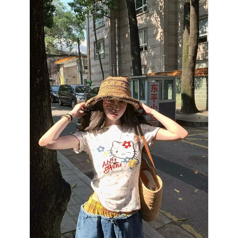 Korean Retro New Style Small Floral Embroidered Kitty Short-Sleeved T-Shirt for Women, Summer Sweet Girl Round Neck Regular Shoulder Slim Fit Top Korean Retro New Style Small Floral Embroidered Kitty Short-Sleeved T-Shirt for Women, Summer Sweet Girl Round Neck Regular Shoulder Slim Fit Top