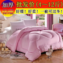 Quilt winter thickened warm quilt core 4 6 8 10 12kg double single student dormitory winter quilt