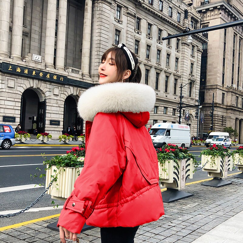 2021 New EuroBlock Block Down True Hairy Down Feather Cover Short Small Cover