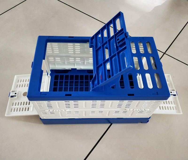 Báo cáo thí điểm lồng bay huấn luyện lồng nhựa gấp chim huấn luyện lồng chim bồ câu cung cấp thiết bị chim bồ câu đua chim bồ câu - Chim & Chăm sóc chim Supplies thức ăn chim trĩ
