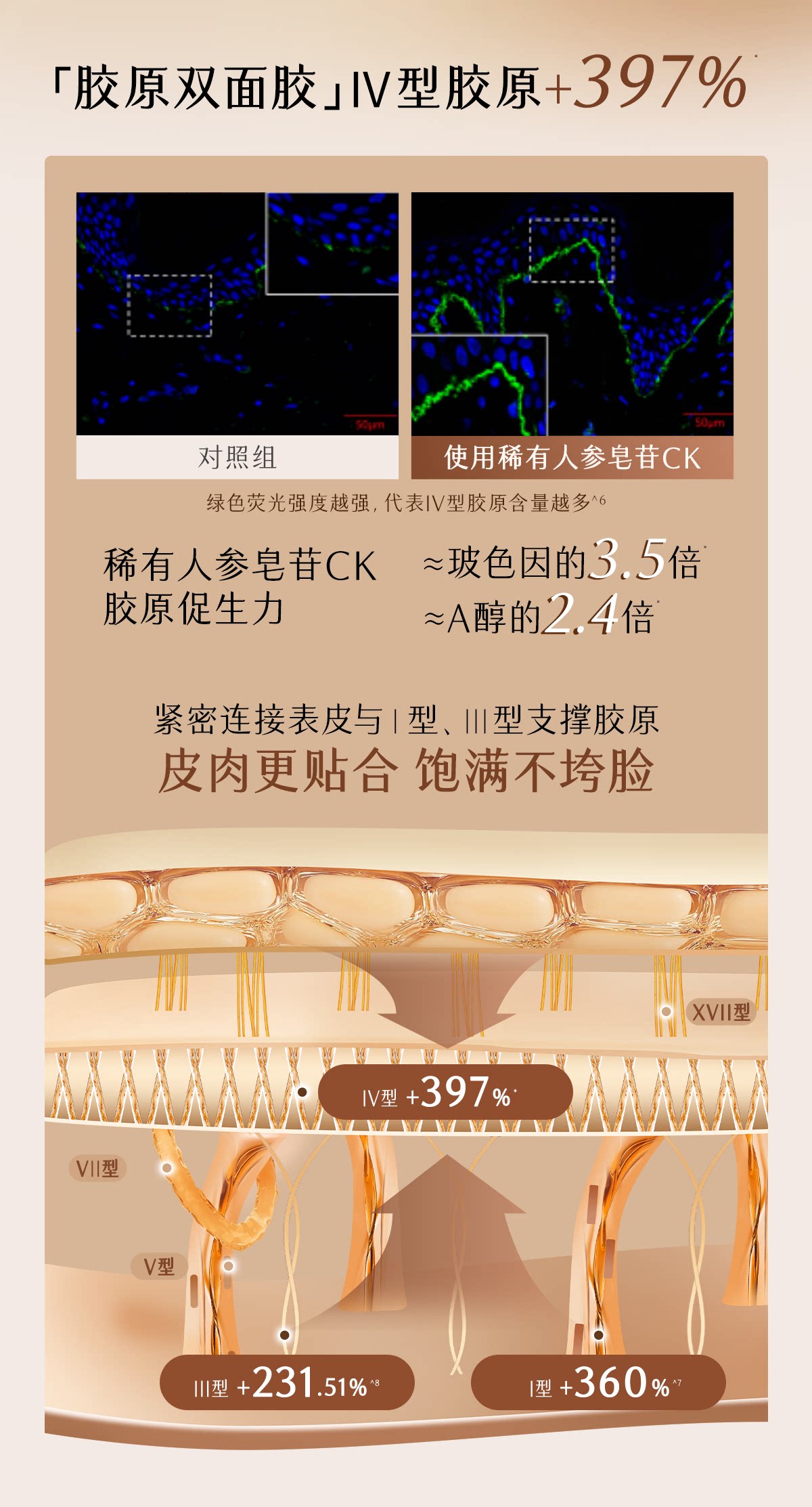 12-6939ae5240ebc.png 