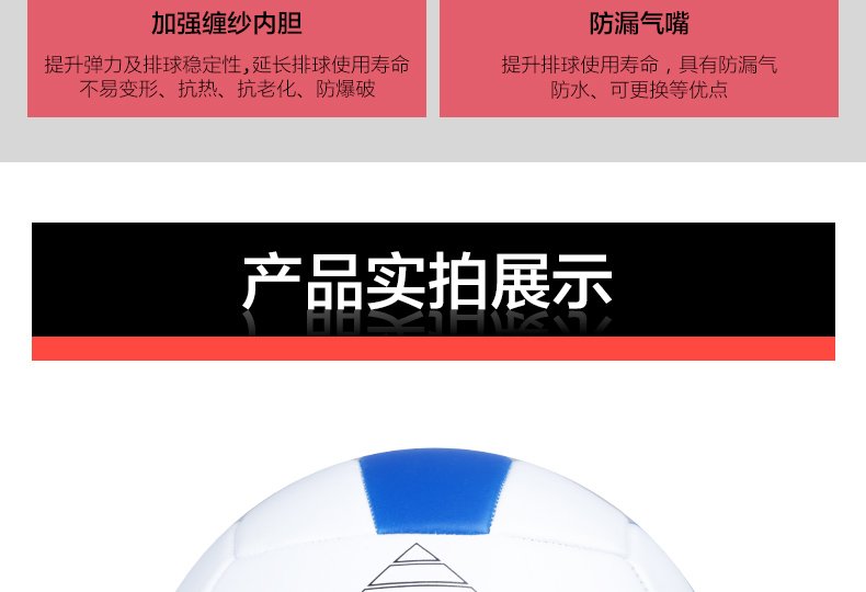 Ballon de volley - Ref 2010323 Image 12
