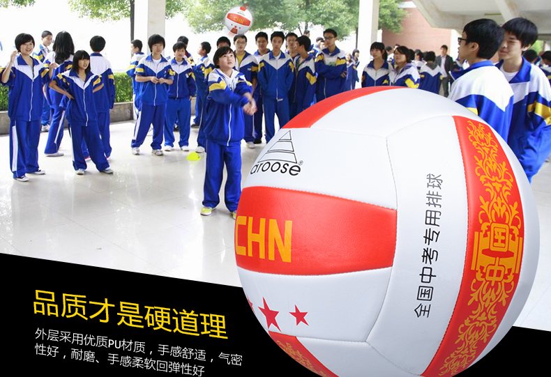 Ballon de volley - Ref 2010323 Image 9