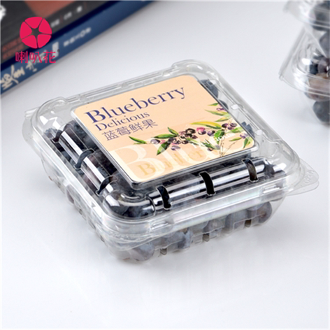 Fruit packaging box disposable transparent with cover empty box plastic fruit cut mulberry mulberry fruit blueberry cherry box 