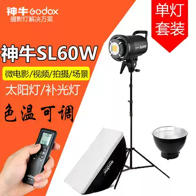 Shenniu SL60W photography fill light always bright solar light photo film children's photography fill light single light set