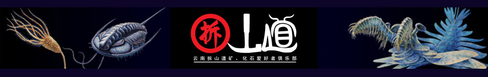 It's also useless to have a direct interplay fan supplement link and don't mess with it-Taobao