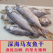 Mayou fish dried light mouth salted fish dried Beihai specialty extra large horse you salted fish dried seafood 1000g bag