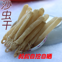 Beihai specialty wild large sandworms dry goods sand insects dry sand intestines 50 grams