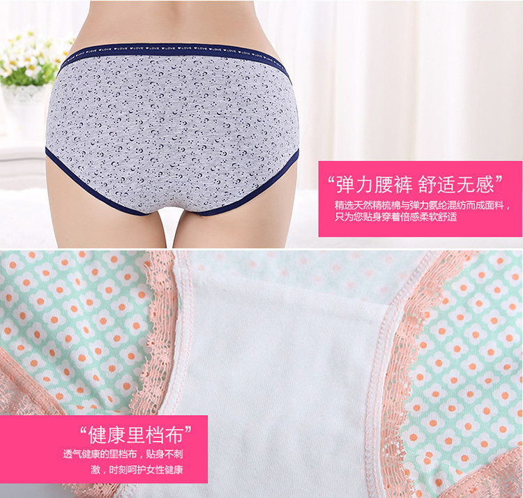 Slip jeunesse NF14X25232 en coton - Ref 666086 Image 26