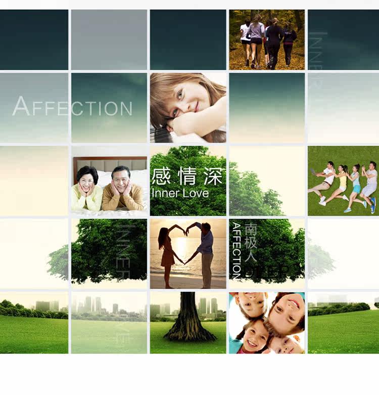 Slip jeunesse NF16X23402-3A en coton - Ref 666084 Image 29