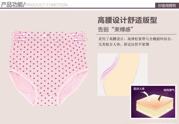 Slip Moyen-âge N8L5X20015 en coton - Ref 666096 Image 14