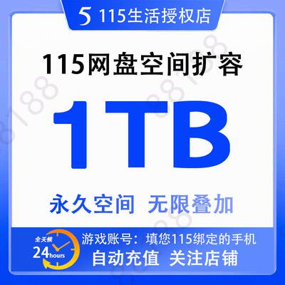 115 сетевой диск 1 ТБ.