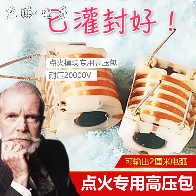 20KV high frequency high-pressure transformer ignition coil inverter oil smoke purifier negative ion generator