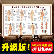 Twelve meridians and points map Chinese medicine health Hall physiotherapy Human body meridian acupoint map Large wall chart poster custom high-definition