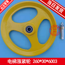 Elevator parts Elevator tensioner wheel 260*30*6003 Speed limiter tensioner device New