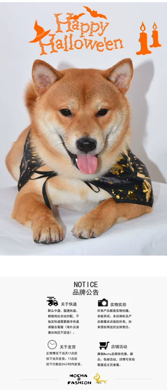 Shiba Inu Halloween áo choàng choàng mũ vui nhộn phù hợp với con chó cưng Trang phục Halloween tùy chỉnh thiết kế quần áo - Quần áo & phụ kiện thú cưng