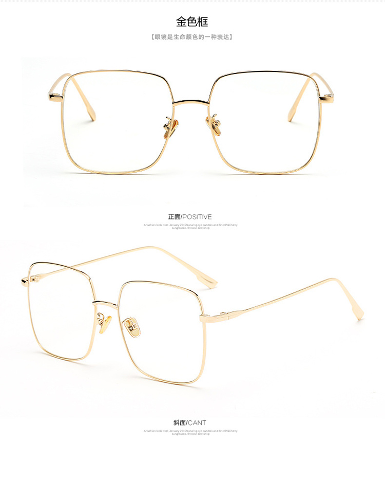 Montures de lunettes en Alliage cuivre-nickel - Ref 3139347 Image 21
