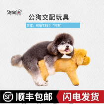 Puppy mate toy dog ventilation sexual partner leaks inflatable flame Teddy hugs leg artifact dog spouse