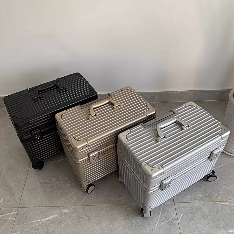 MLGE Suitcase, universal matte liner, 20 inch, increased thickness