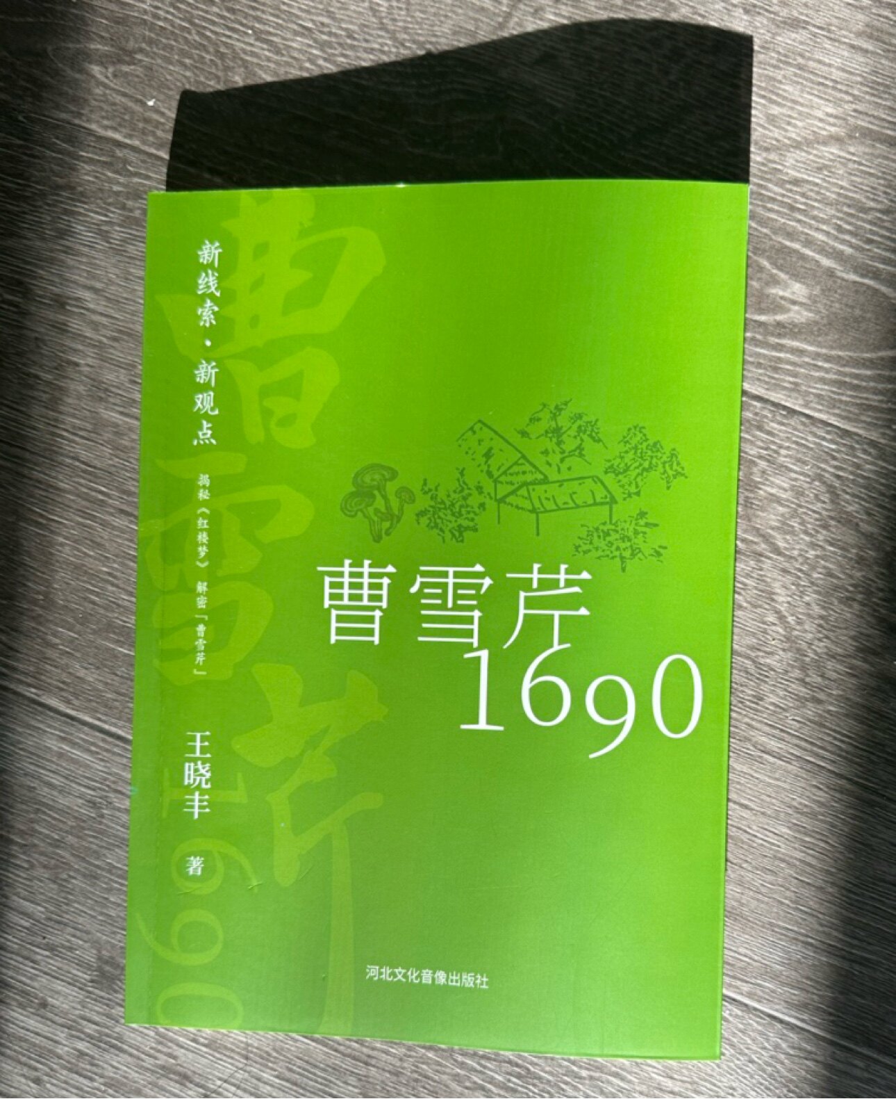 红楼梦作者之谜：王晓丰新书《曹雪芹1690》能否揭开真相？-语言文字-淘宝百科网