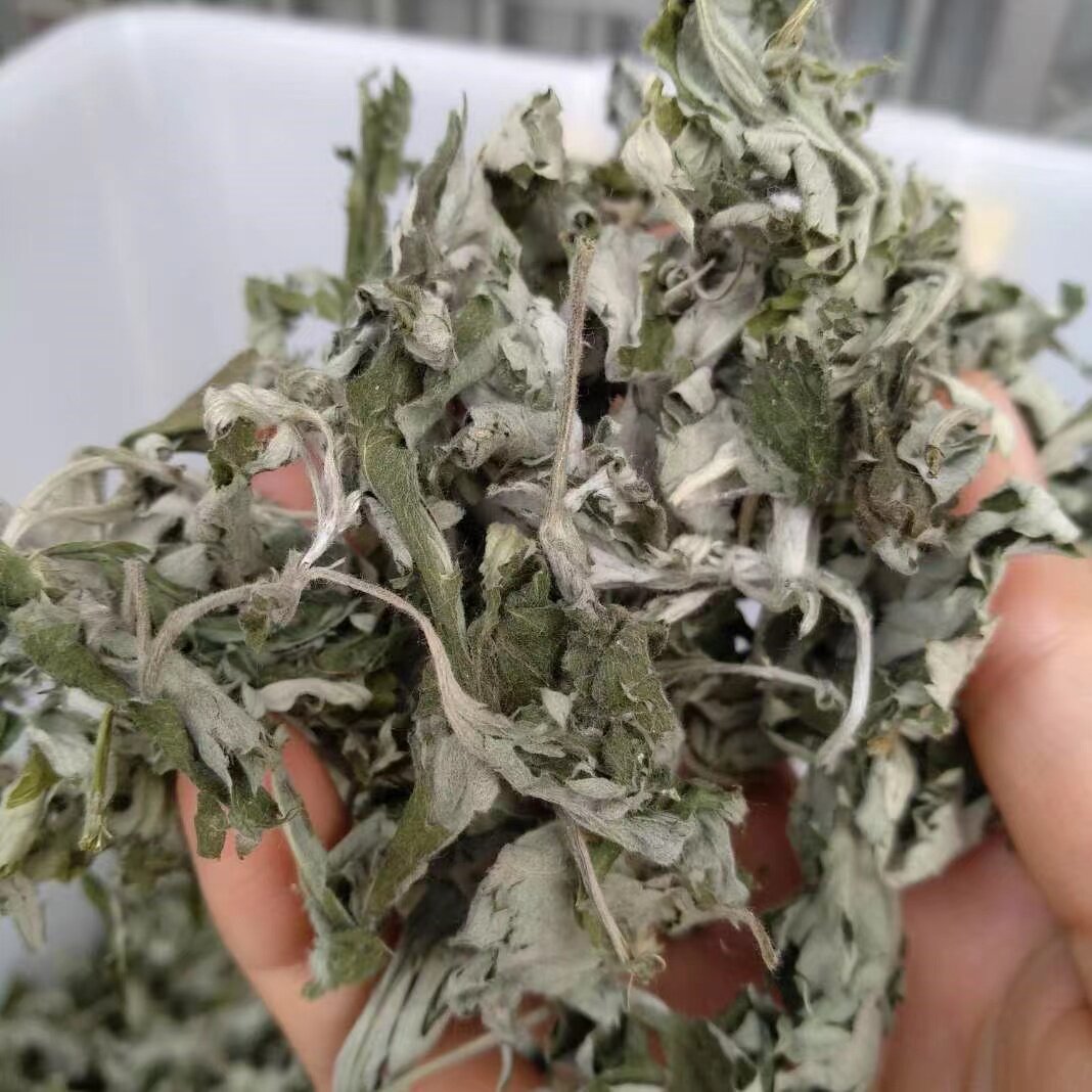 (pure wild Ai Ye) Chen Aiche 3 years of Zhengzong Hillside Fields Idi