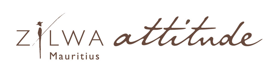  Logo Zilwa Attitude.jpg