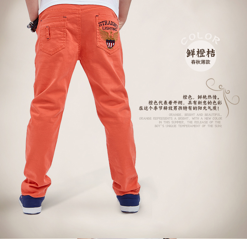 Pantalon garcon L1312 - Ref 2054192 Image 36