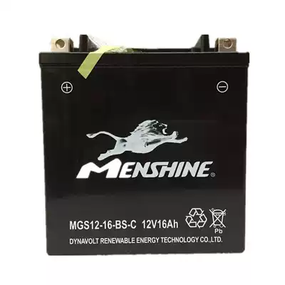 Mengshi locomotive battery 12V new BMWBMWR1200RT maintenance-free Mengshi battery battery battery 21AH