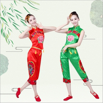 New Yangko performance costumes ethnic style square dance costumes for middle-aged and elderly people summer duo performance costumes womens suits