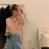 wxlstudio Hazy texture beauty~retro casual and sexy debris shirt female conjunction shirt