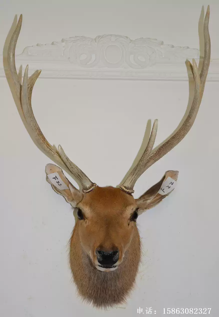 鹿頭 鹿頭標本壁掛F22真鹿頭仿真鹿角掛件樣板間生財有鹿