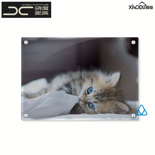 Стенд для офиса, уличная фоторамка, акриловая настенная вывеска