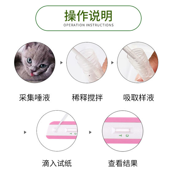 Cat nasal branch test paper FHV herpes virus FIFV detection card cold runny nose operation is simple and accurate