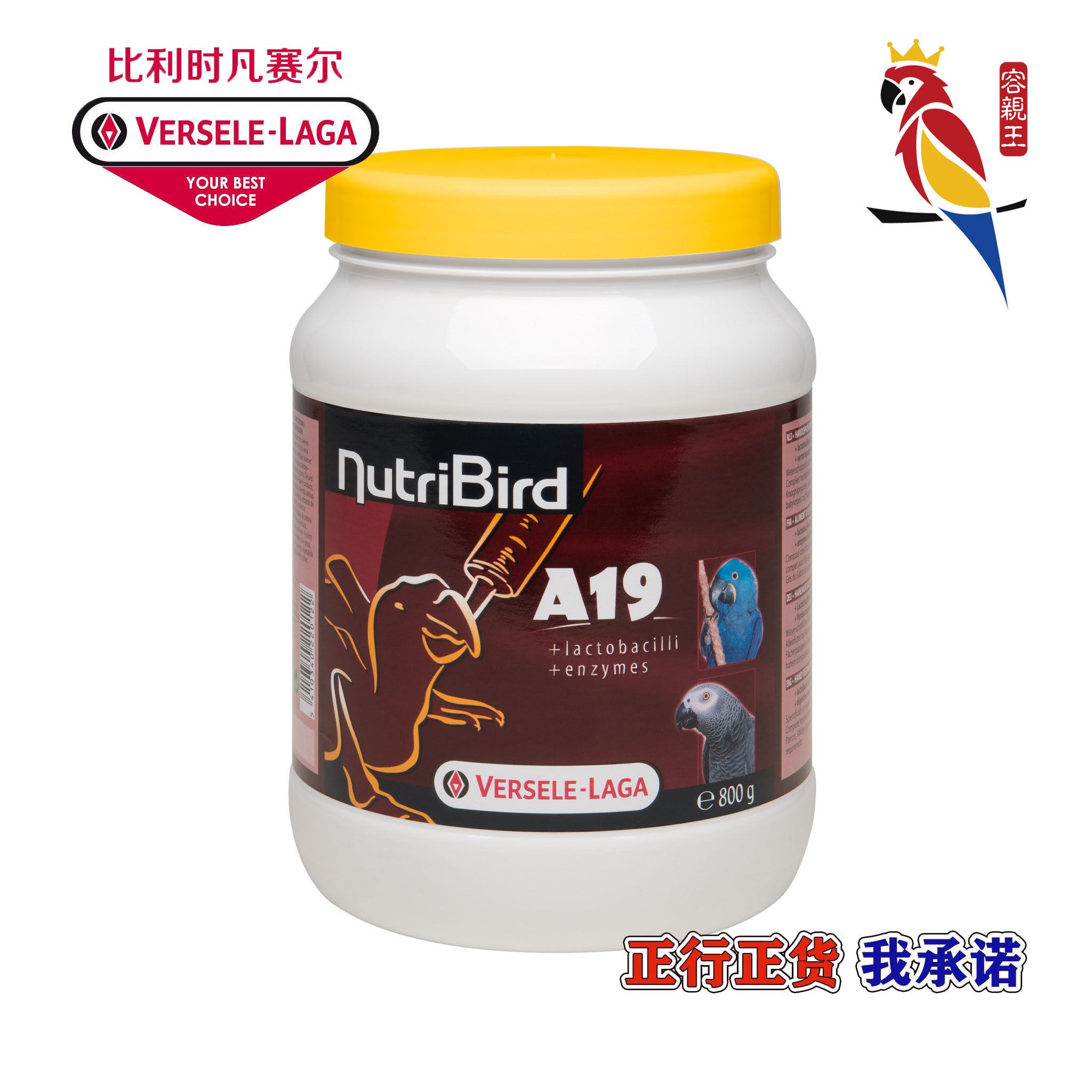 800 gr original dress Belgian Versailles A19 high fat parrot milk powder pet bird grey parrot young bird feed