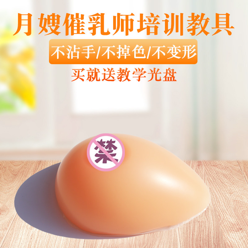 假乳义乳 女性乳房模型 催乳师培训道具 哺乳教学模具 催乳教育具